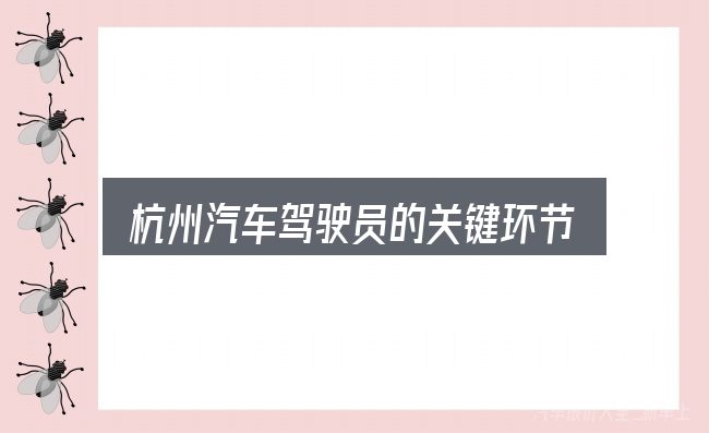 杭州汽车驾驶员的关键环节