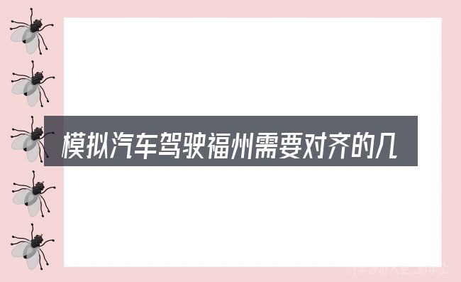 模拟汽车驾驶福州需要对齐的几件事