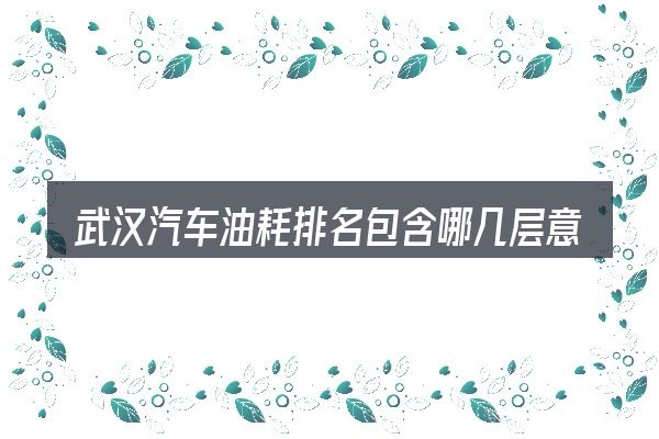武汉汽车油耗排名包含哪几层意思