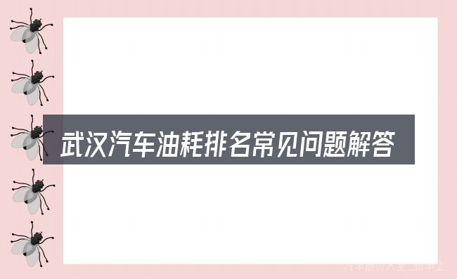 武汉汽车油耗排名常见问题解答
