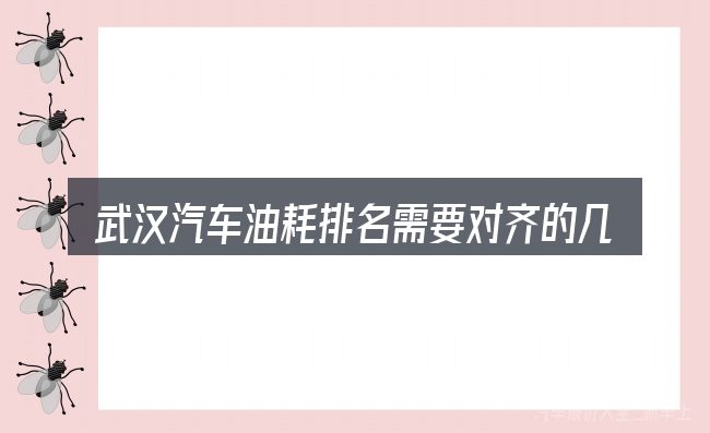 武汉汽车油耗排名需要对齐的几件事