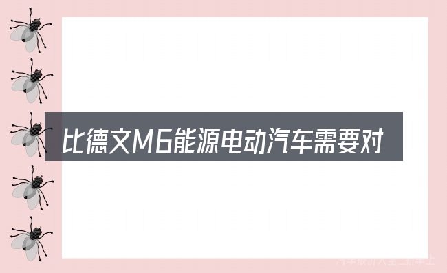 比德文M6能源电动汽车需要对齐的几件事