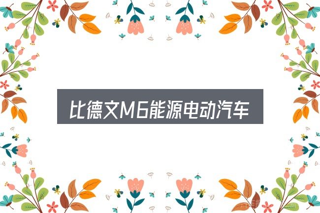 比德文M6能源电动汽车入门笔记：看完能少走弯路