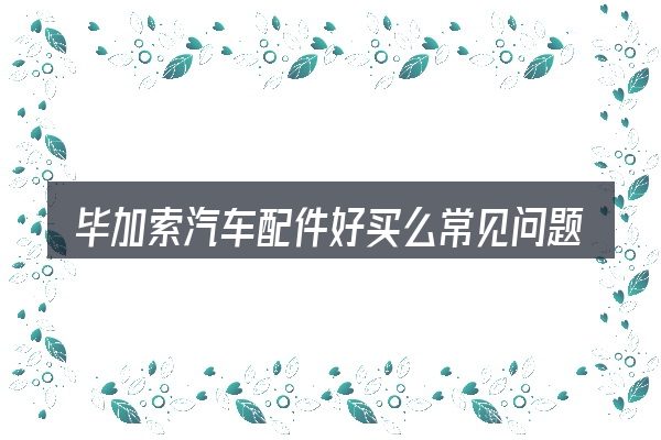 毕加索汽车配件好买么常见问题解答