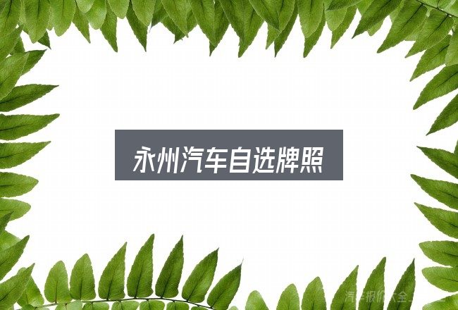 永州汽车自选牌照实用指南：先把概念理清楚