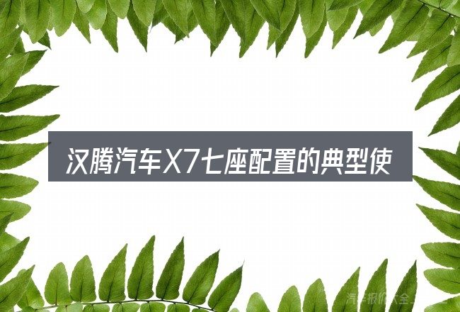 汉腾汽车X7七座配置的典型使用场景