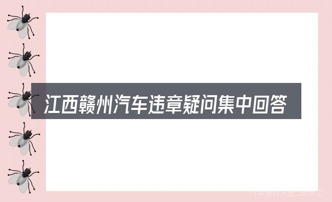 江西赣州汽车违章疑问集中回答