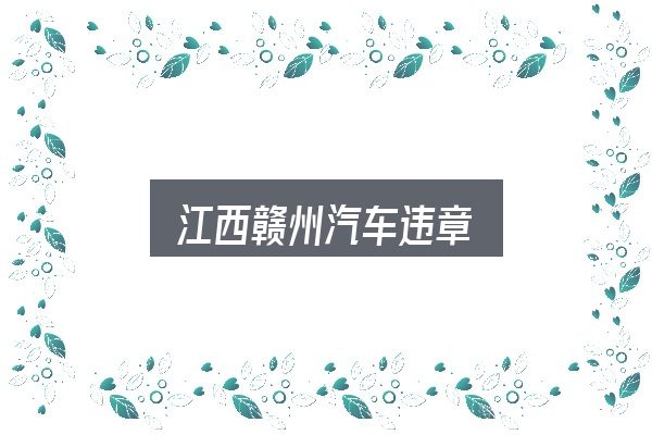 关于江西赣州汽车违章，常见误区与实用建议