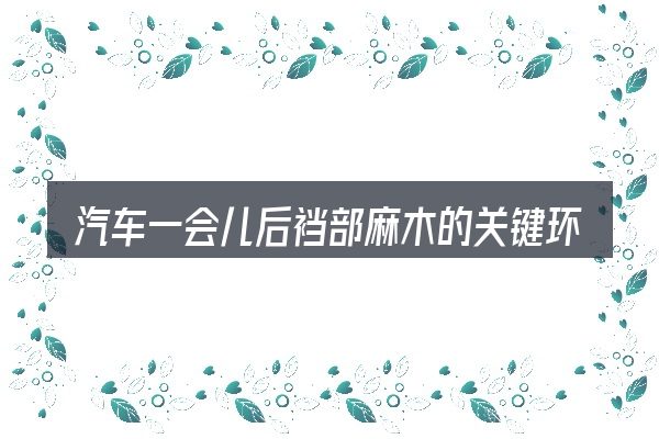 汽车一会儿后裆部麻木的关键环节