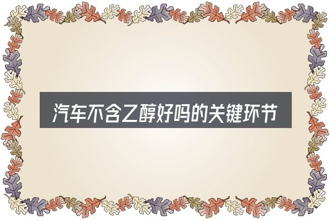 汽车不含乙醇好吗的关键环节