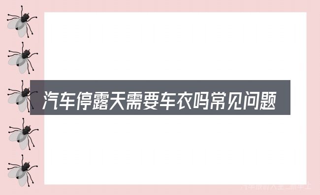 汽车停露天需要车衣吗常见问题解答