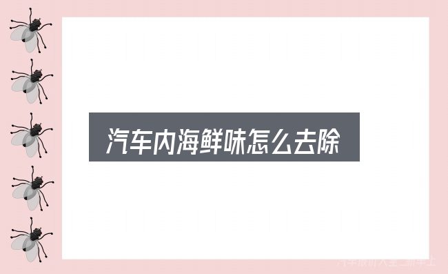 关于「汽车内海鲜味怎么去除」，动力、空间与用车成本对比