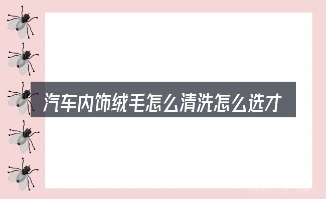 汽车内饰绒毛怎么清洗怎么选才不容易出错
