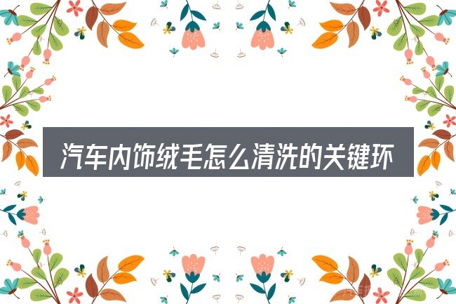 汽车内饰绒毛怎么清洗的关键环节