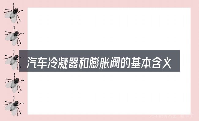 汽车冷凝器和膨胀阀的基本含义与边界