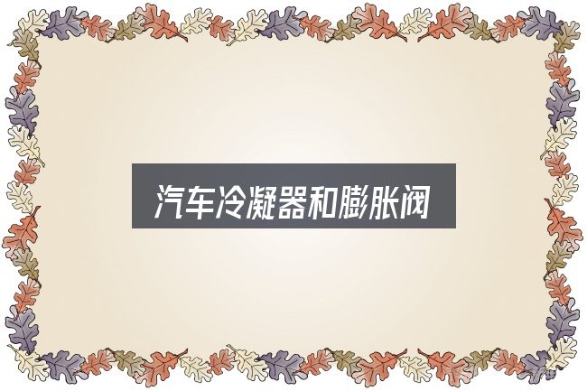 汽车冷凝器和膨胀阀实用指南：关键问题集中回答