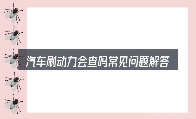 汽车刷动力会查吗常见问题解答