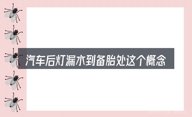 汽车后灯漏水到备胎处这个概念怎么理解