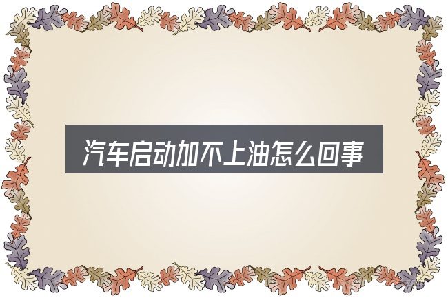 汽车启动加不上油怎么回事，照着这个顺序看就行