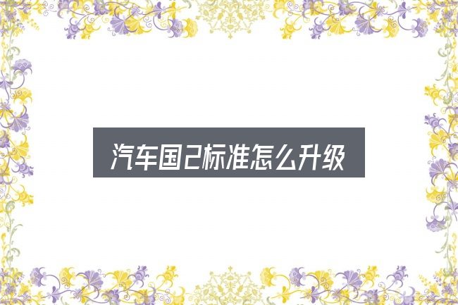 关于「汽车国2标准怎么升级」，从选车到用车的实际经验