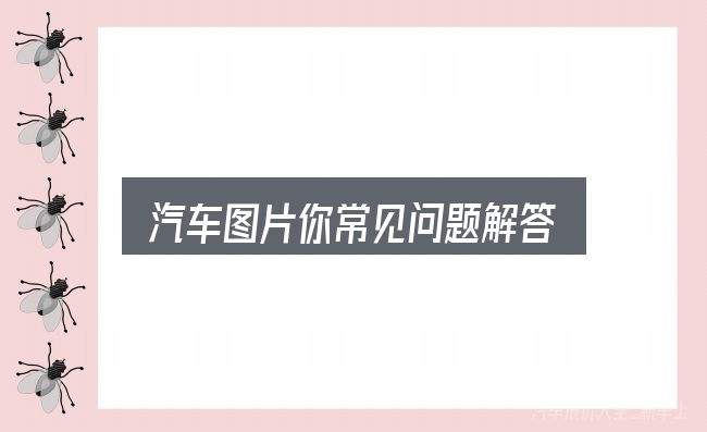 汽车图片你常见问题解答