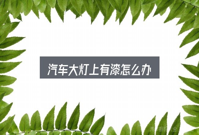 汽车大灯上有漆怎么办？一份写给新手的说明