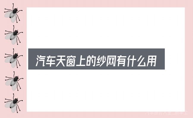 关于「汽车天窗上的纱网有什么用」，从零开始的完整思路