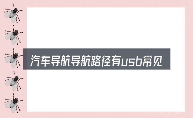 汽车导航导航路径有usb常见问题解答