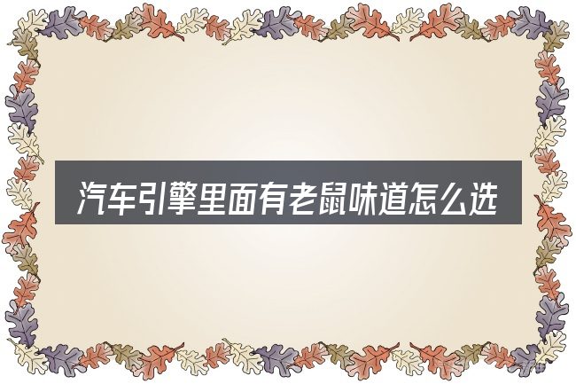 汽车引擎里面有老鼠味道怎么选才不容易出错