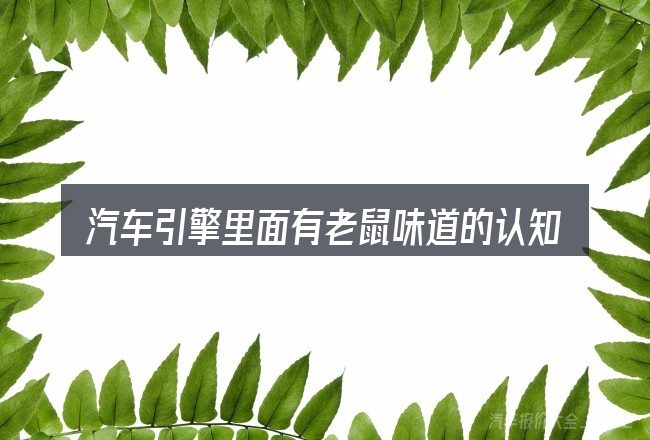 汽车引擎里面有老鼠味道的认知误区