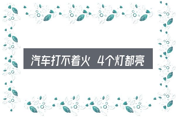 关于汽车打不着火 4个灯都亮，把标准对齐就好办了