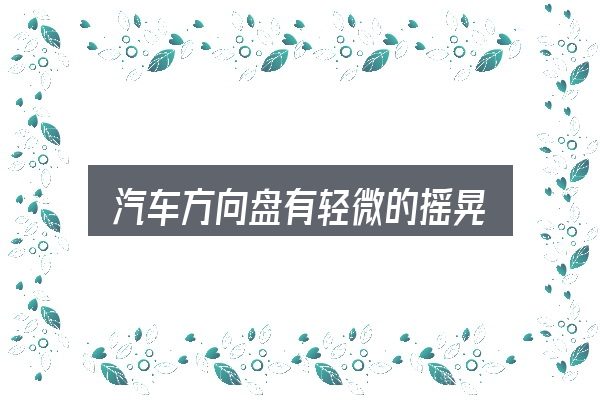 汽车方向盘有轻微的摇晃怎么看？把标准对齐就好办了