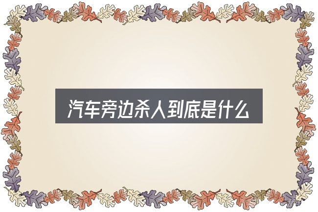 汽车旁边杀人到底是什么