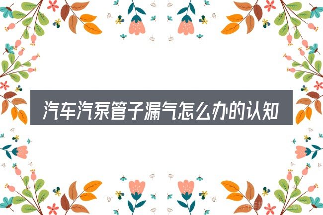 汽车汽泵管子漏气怎么办的认知误区
