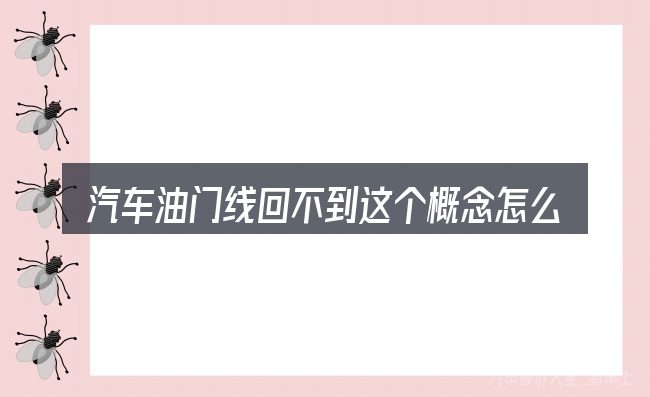 汽车油门线回不到这个概念怎么理解