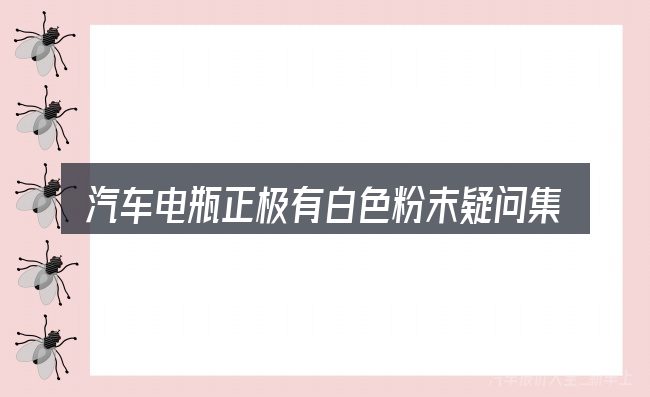 汽车电瓶正极有白色粉末疑问集中回答