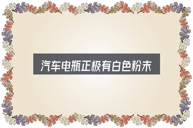 关于汽车电瓶正极有白色粉末，判断是否适合自己