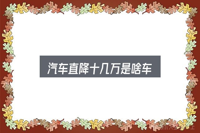汽车直降十几万是啥车实用指南：判断是否适合自己