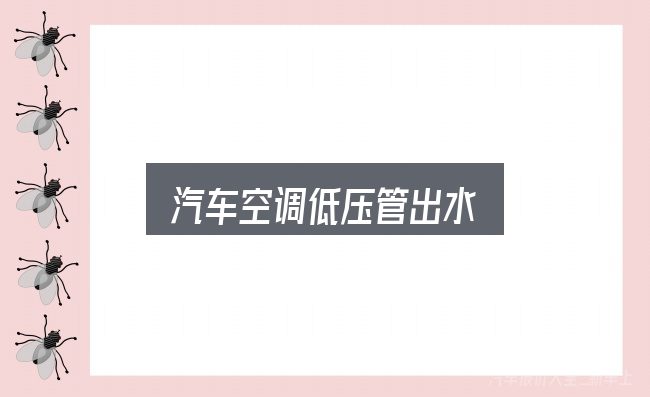 一文讲清汽车空调低压管出水：从选车到用车的实际经验