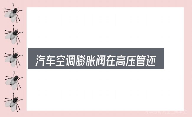 汽车空调膨胀阀在高压管还是低压管是什么？一份务实的参考