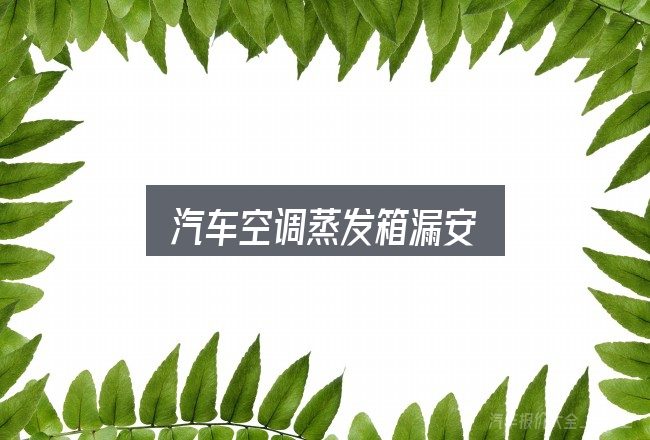 关于汽车空调蒸发箱漏安，几个容易忽略的细节