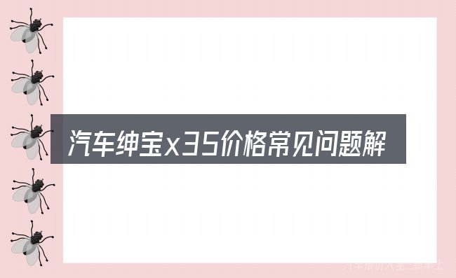 汽车绅宝x35价格常见问题解答