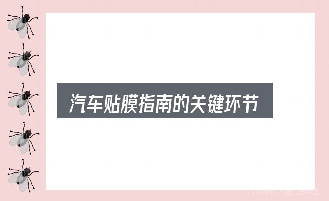 汽车贴膜指南的关键环节
