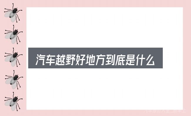 汽车越野好地方到底是什么