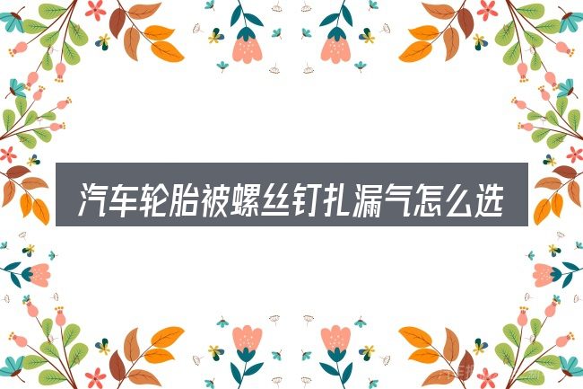 汽车轮胎被螺丝钉扎漏气怎么选才不容易出错