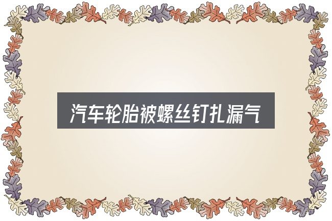汽车轮胎被螺丝钉扎漏气怎么看？常见误区与实用建议