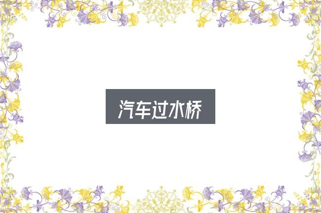 一文讲清汽车过水桥：新手购车容易忽略的细节