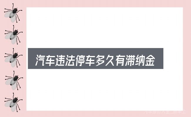 汽车违法停车多久有滞纳金，需要关注的几个维度