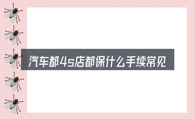 汽车都4s店都保什么手续常见问题解答