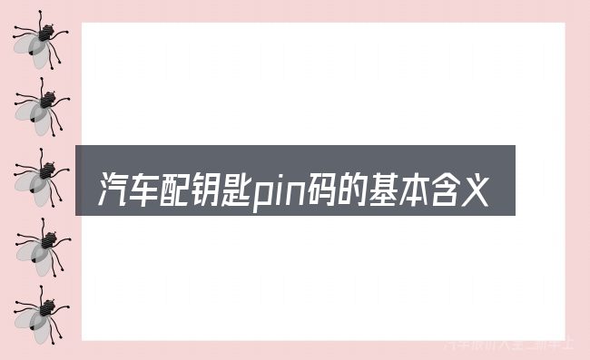 汽车配钥匙pin码的基本含义与边界